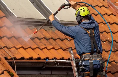 Démoussage et hydrofuge de toiture à Jonage